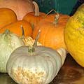 Donated pumpkins and squashes