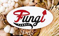 Fungi Farmer